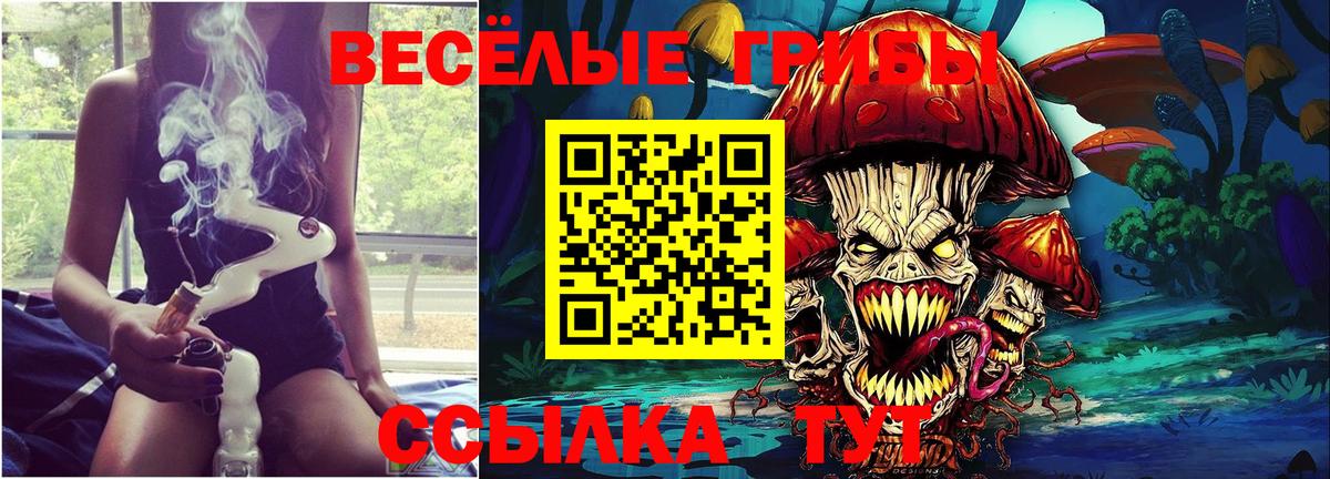 Псилоцибиновые грибы мицелий Сафоново